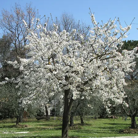 Poggio Delle Rose Tuscany Relais *
